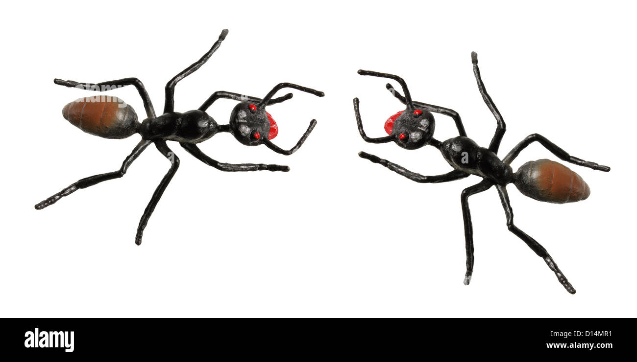 Plastic toy ants sale