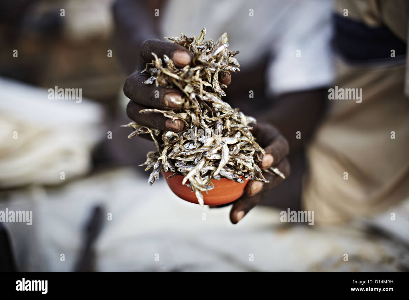 Hands holding a cup of Kapenta fish Stock Photo
