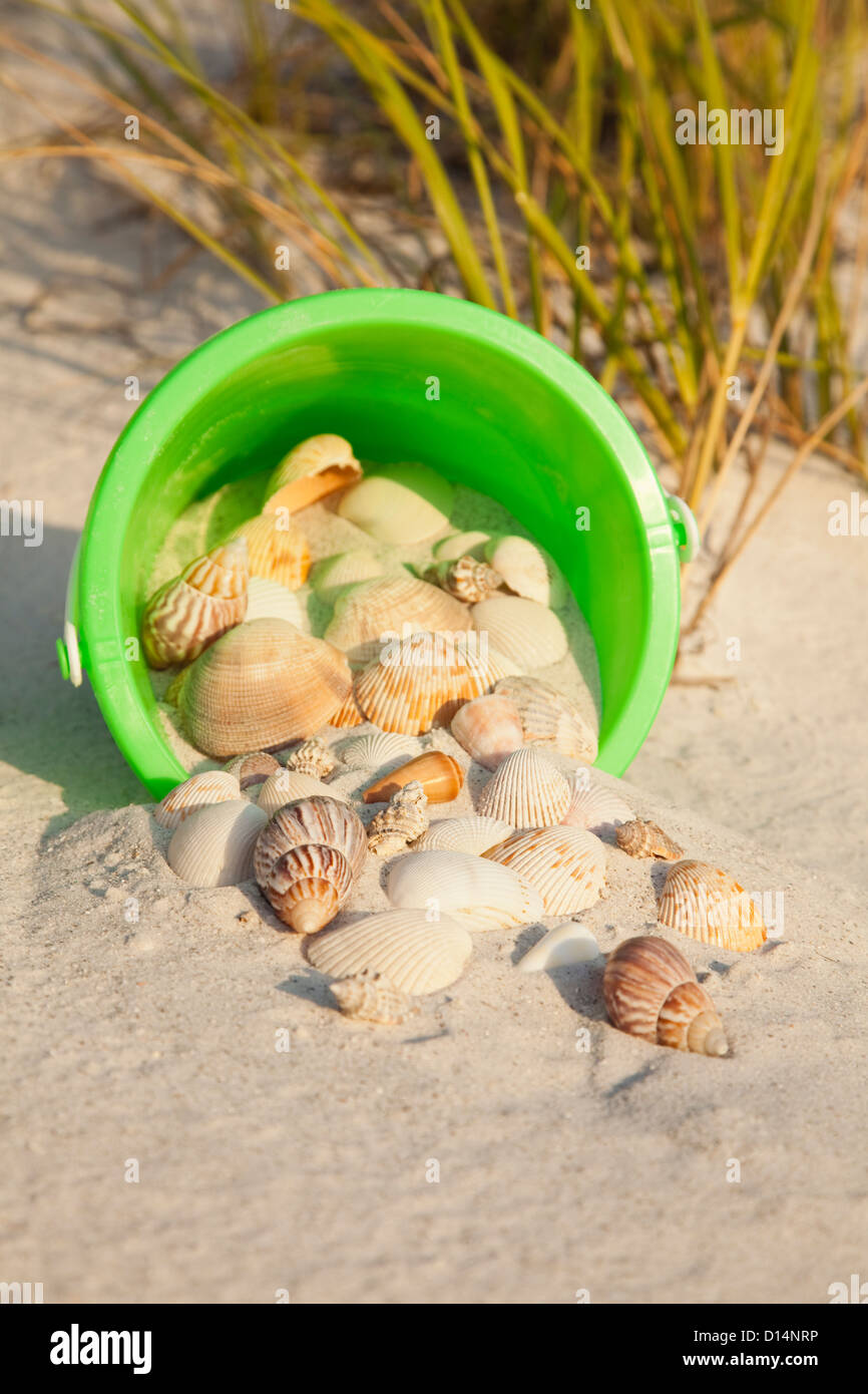 USA, Florida, St. Petersburg, plastic bucket filled with sand and seashells Stock Photo