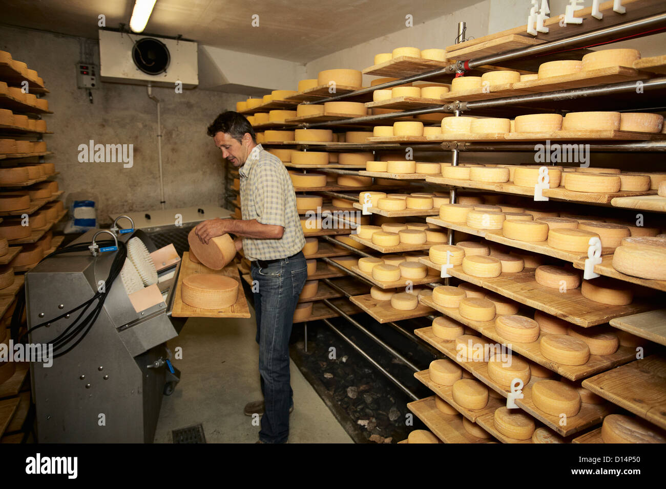 Worker finishing wheel of cheese in shop Stock Photo