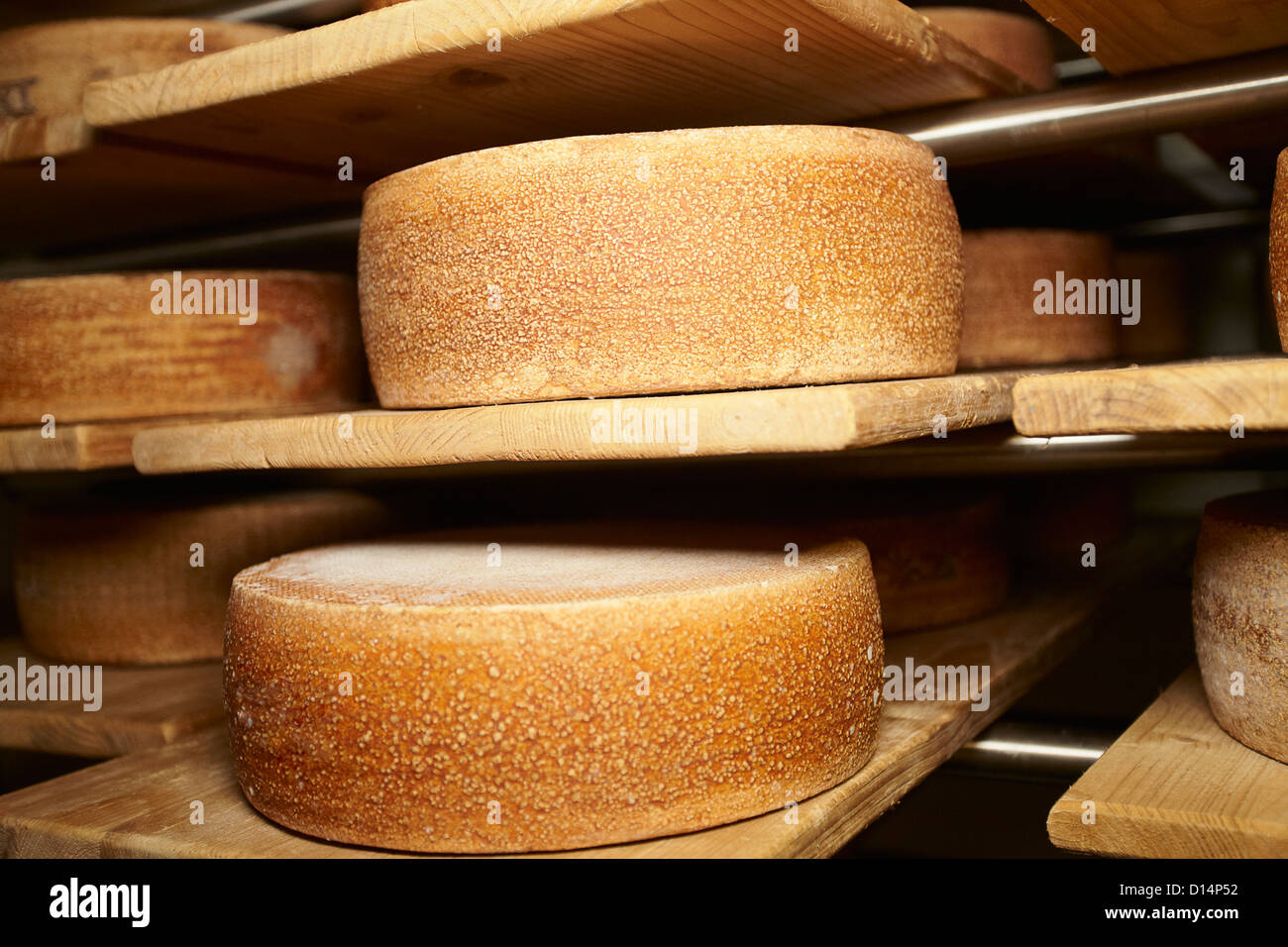 Wheels of cheese aging in shop Stock Photo