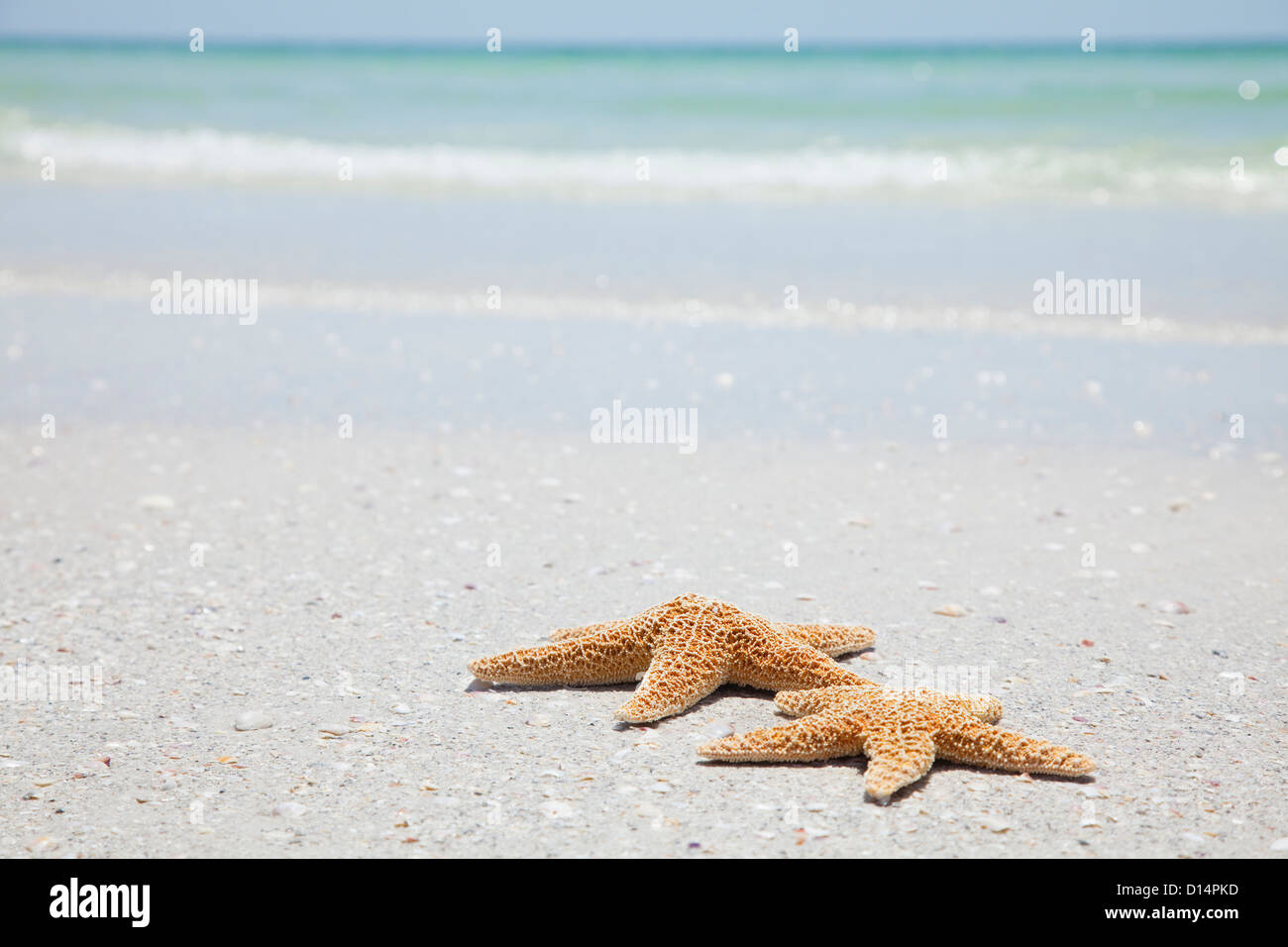 Beach Scene St Petersburg Florida Stock Photos Beach Scene St