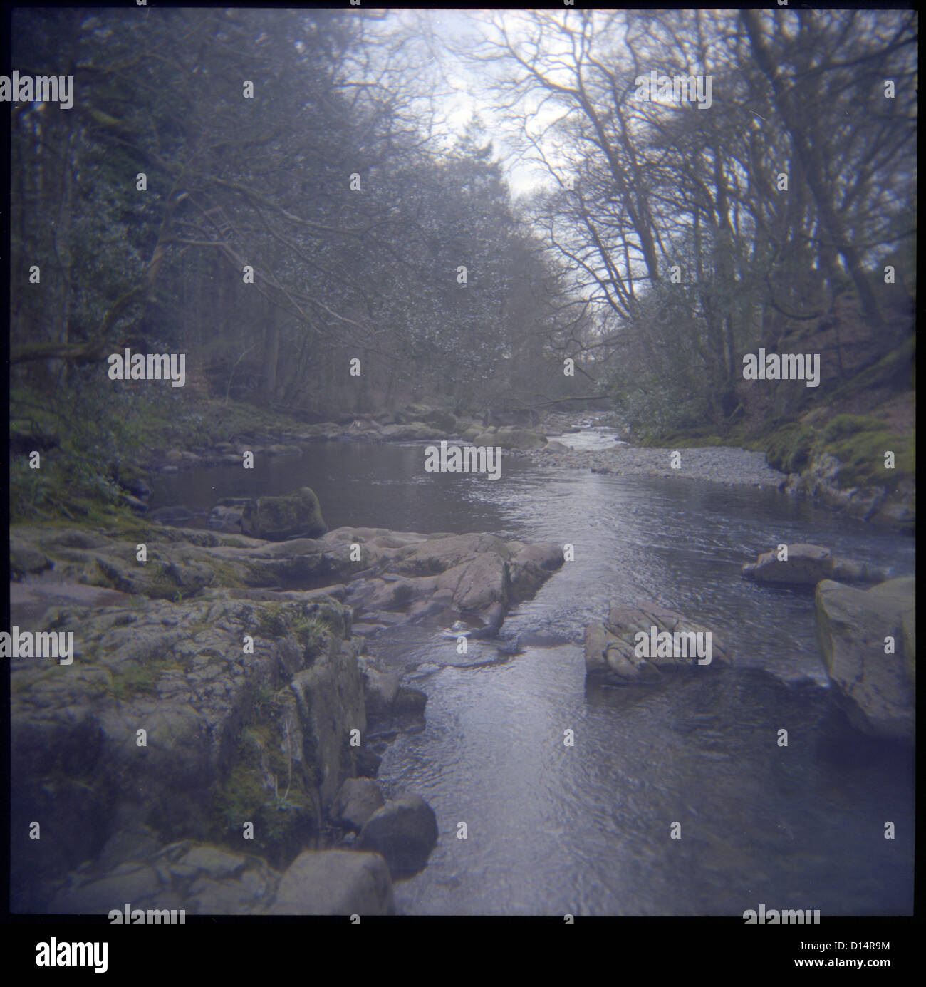 Stream water with rocks hi-res stock photography and images - Alamy