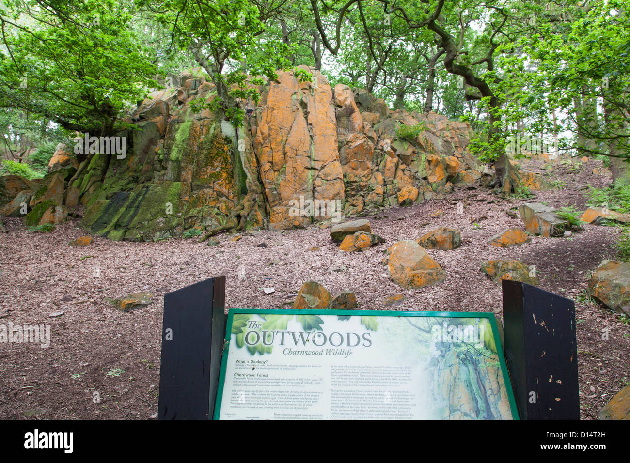 Sign describing the pre-cambrian rocky outcrop beyond in the Outwoods in Charnwood Forest, Leicestershire, England. Stock Photo