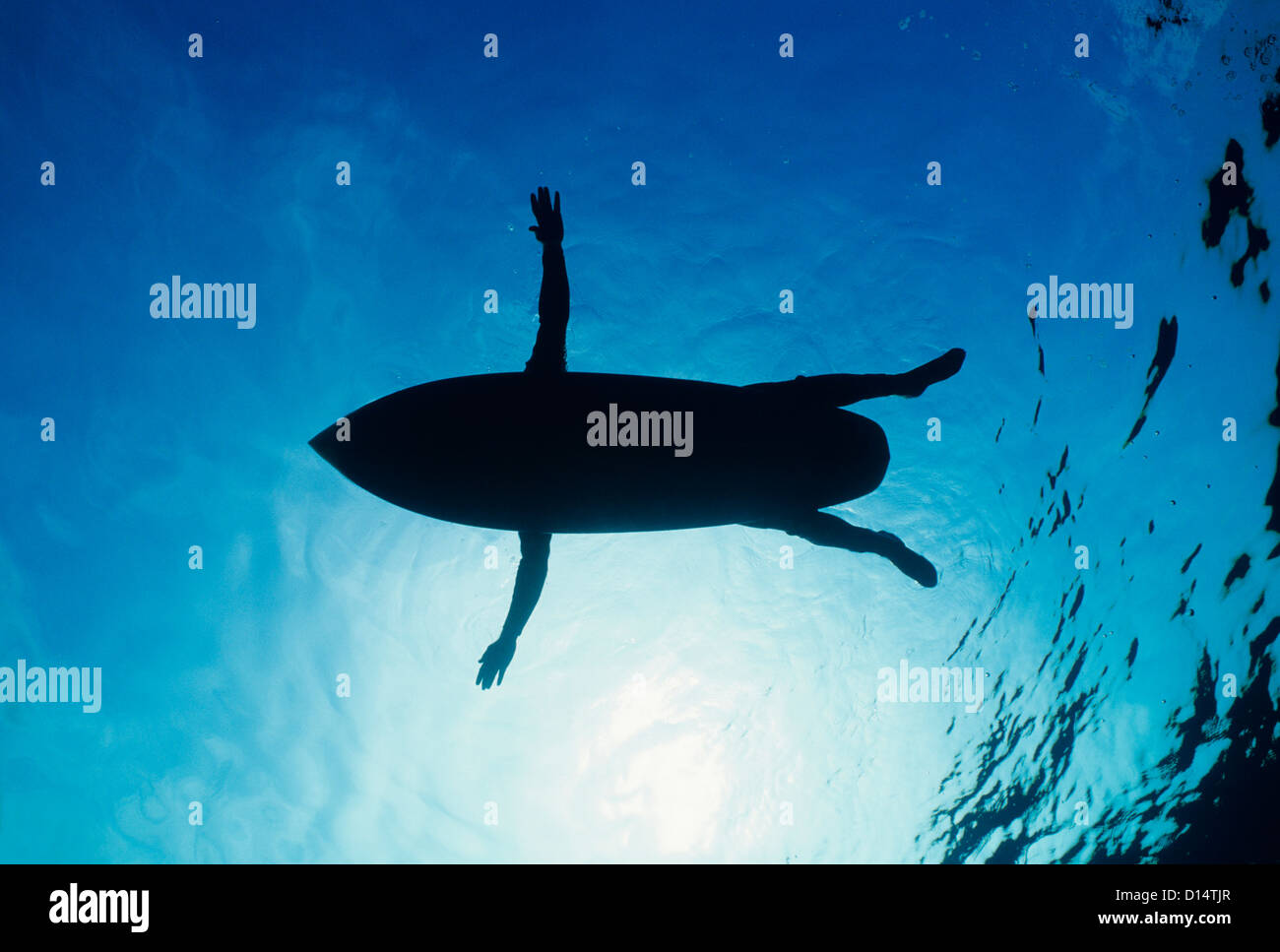 Download Surfer Laying Surfboard In Open Ocean View From Below Stock Photo Alamy PSD Mockup Templates
