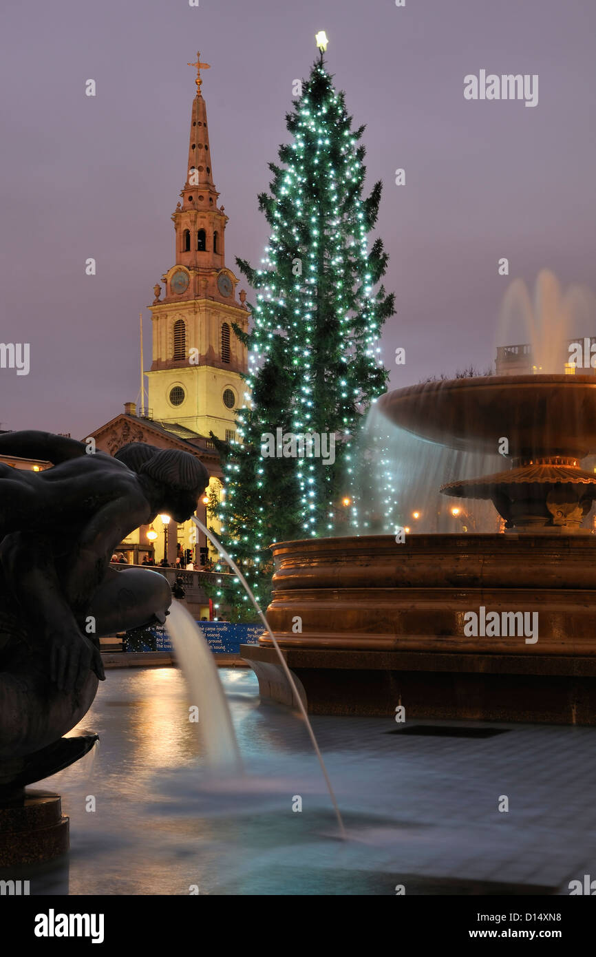 Christmas tree and fountains in Trafalgar Square, London UK, early evening Stock Photo
