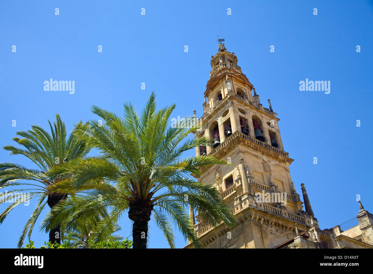 Colorful colourful daylight edifice holy sacred jgrcode0001 12 mosque ...