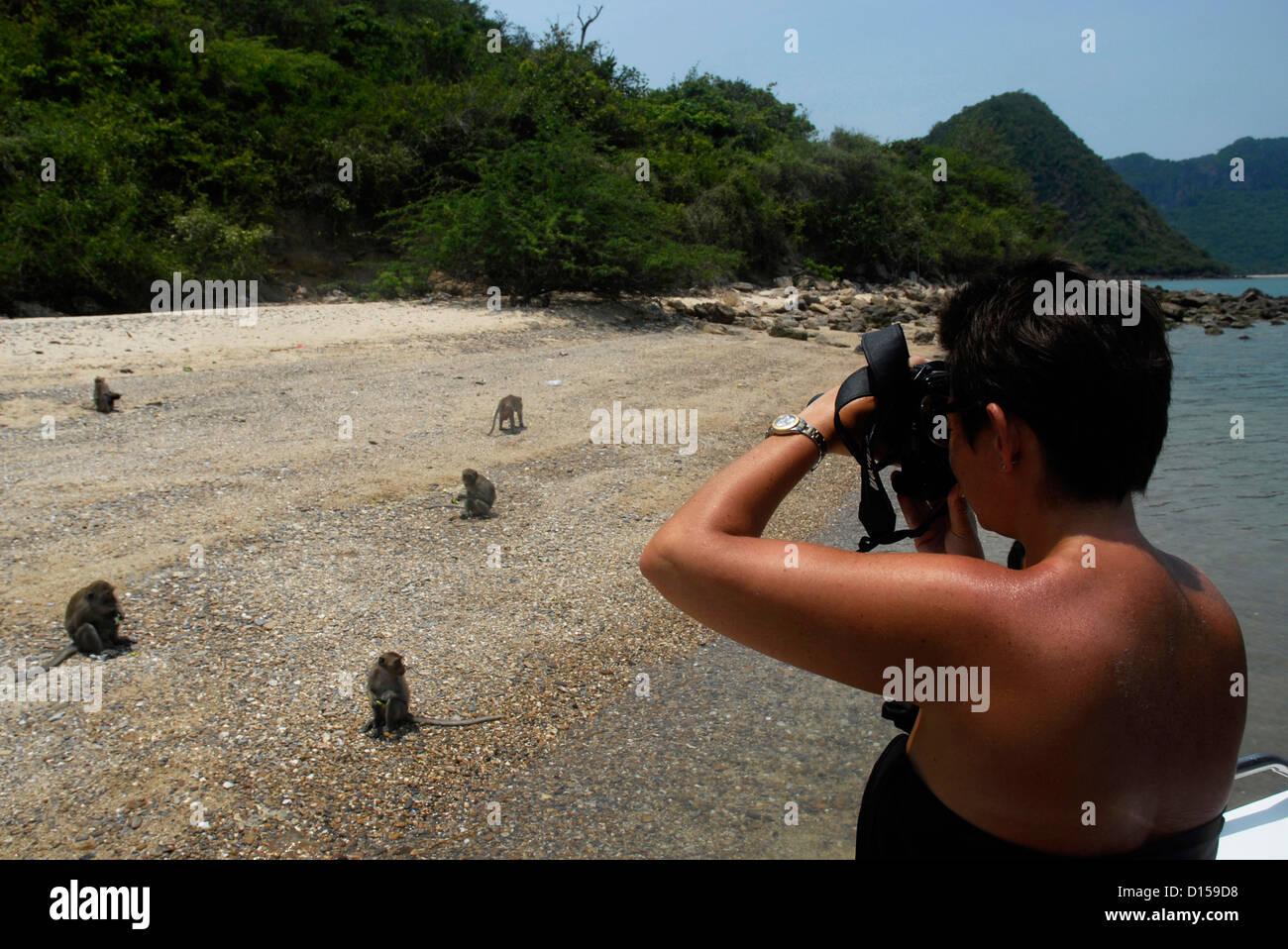Beach, walk,  Evason Hideaway, National, Park  Khao Sam Roi, Hua Hin, Thailand, asia, monkey, woman, pohtograph Stock Photo