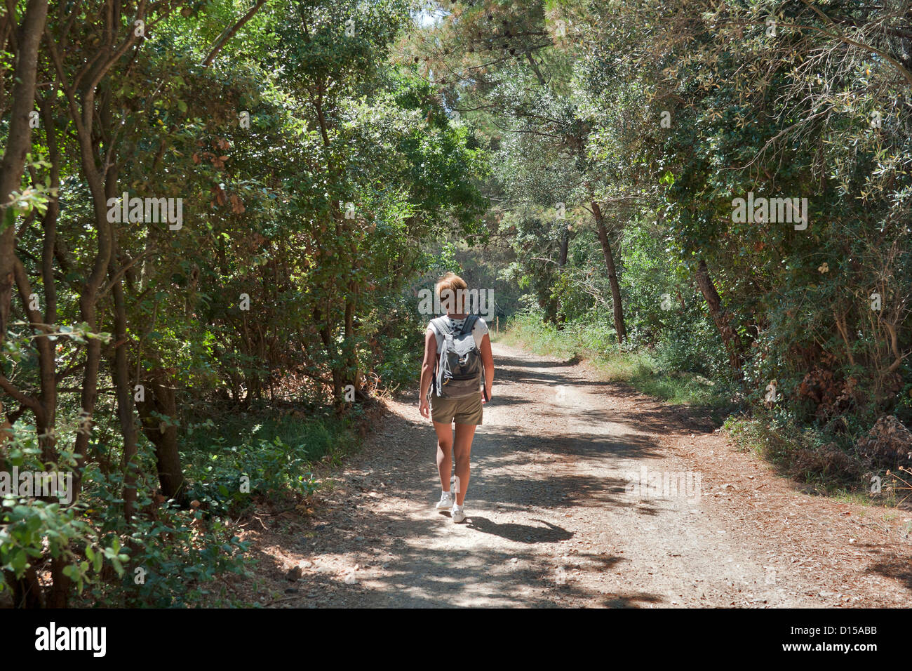 Female hike on forest path hi-res stock photography and images - Alamy