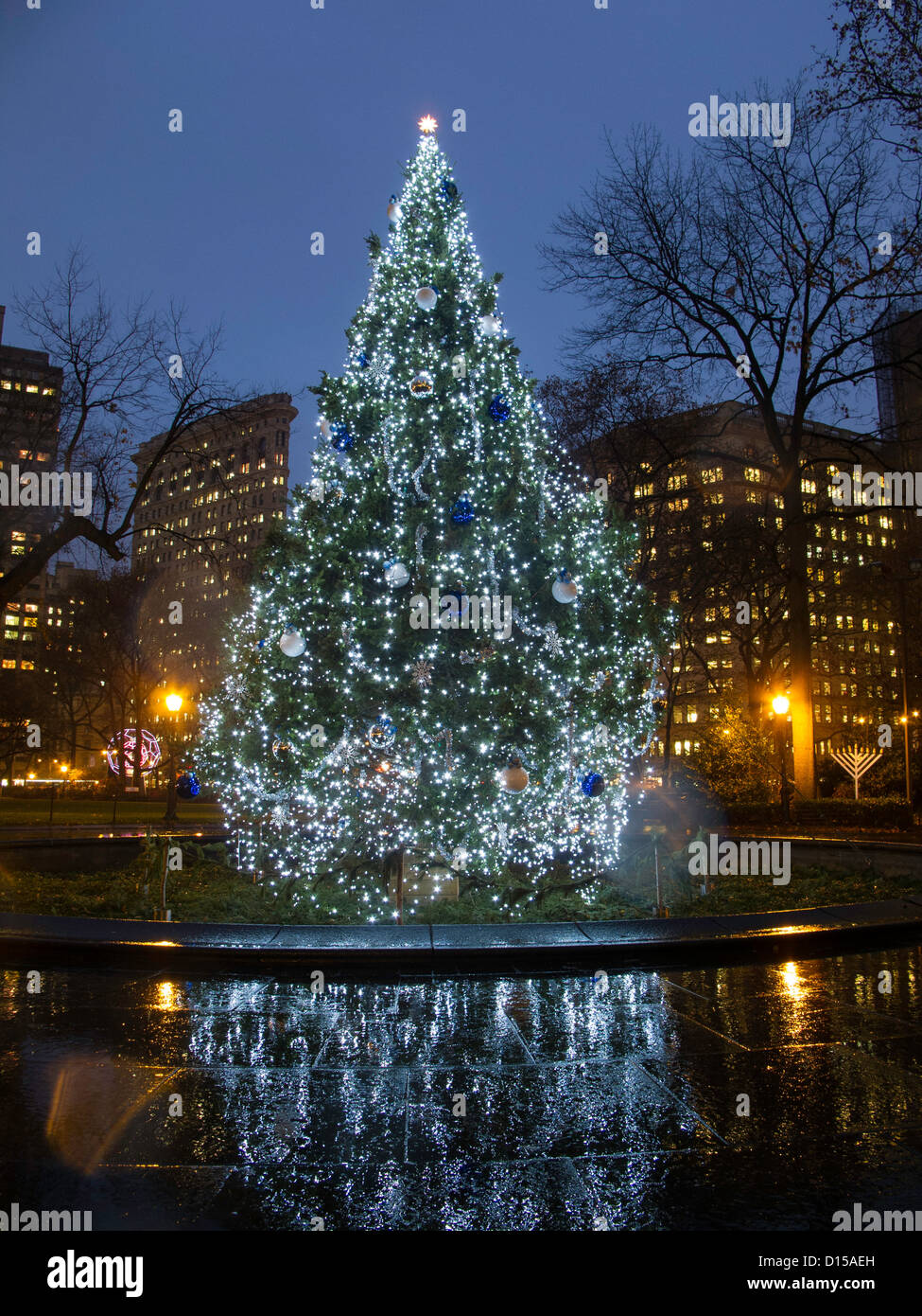 Christmas Tree and Lights, Madison Square Park, NYC Stock Photo Alamy