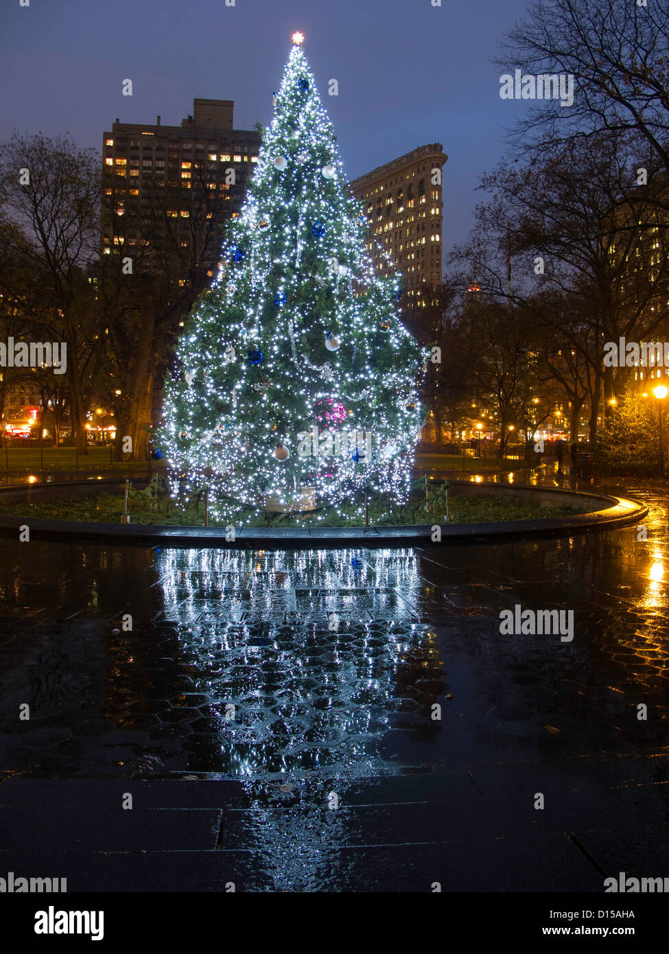 Madison square christmas tree hires stock photography and images Alamy