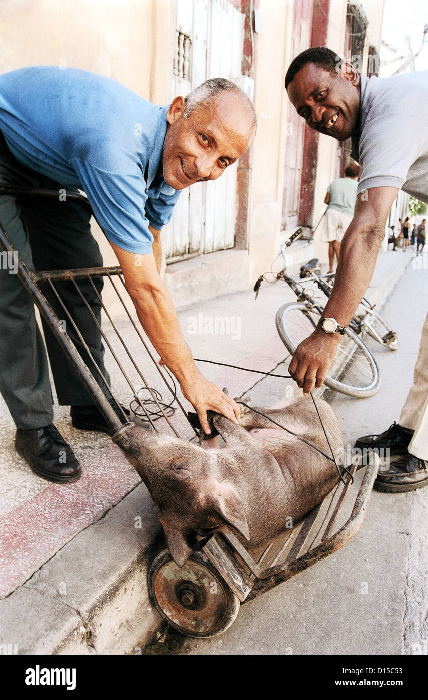 Santiago de Cuba, Cuba, Men carry a pig on a hand truck Stock Photo Alamy