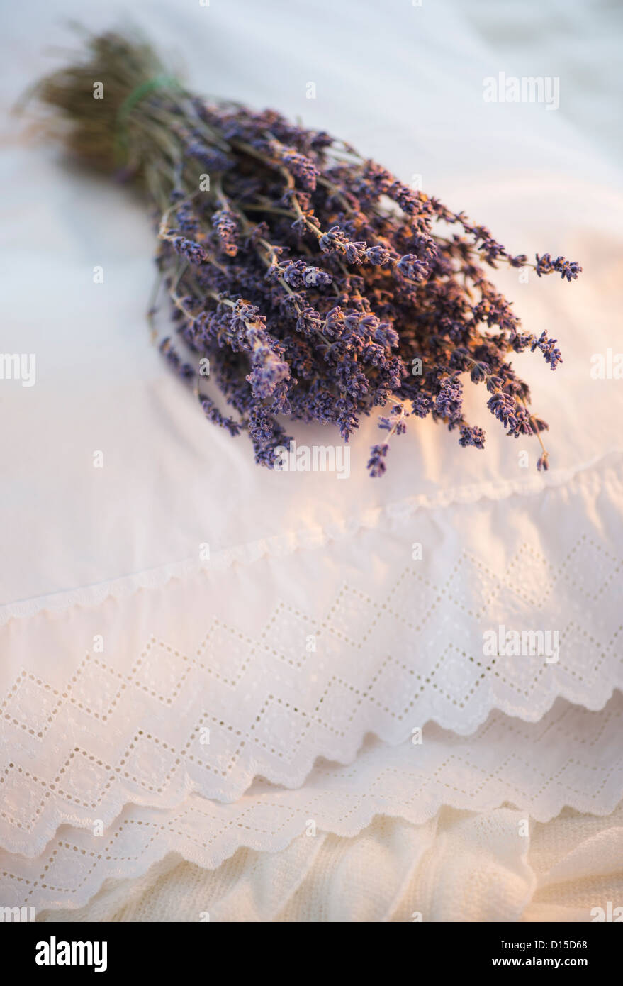 Bundle of dry lavender lying on embroidered pillow Stock Photo Alamy
