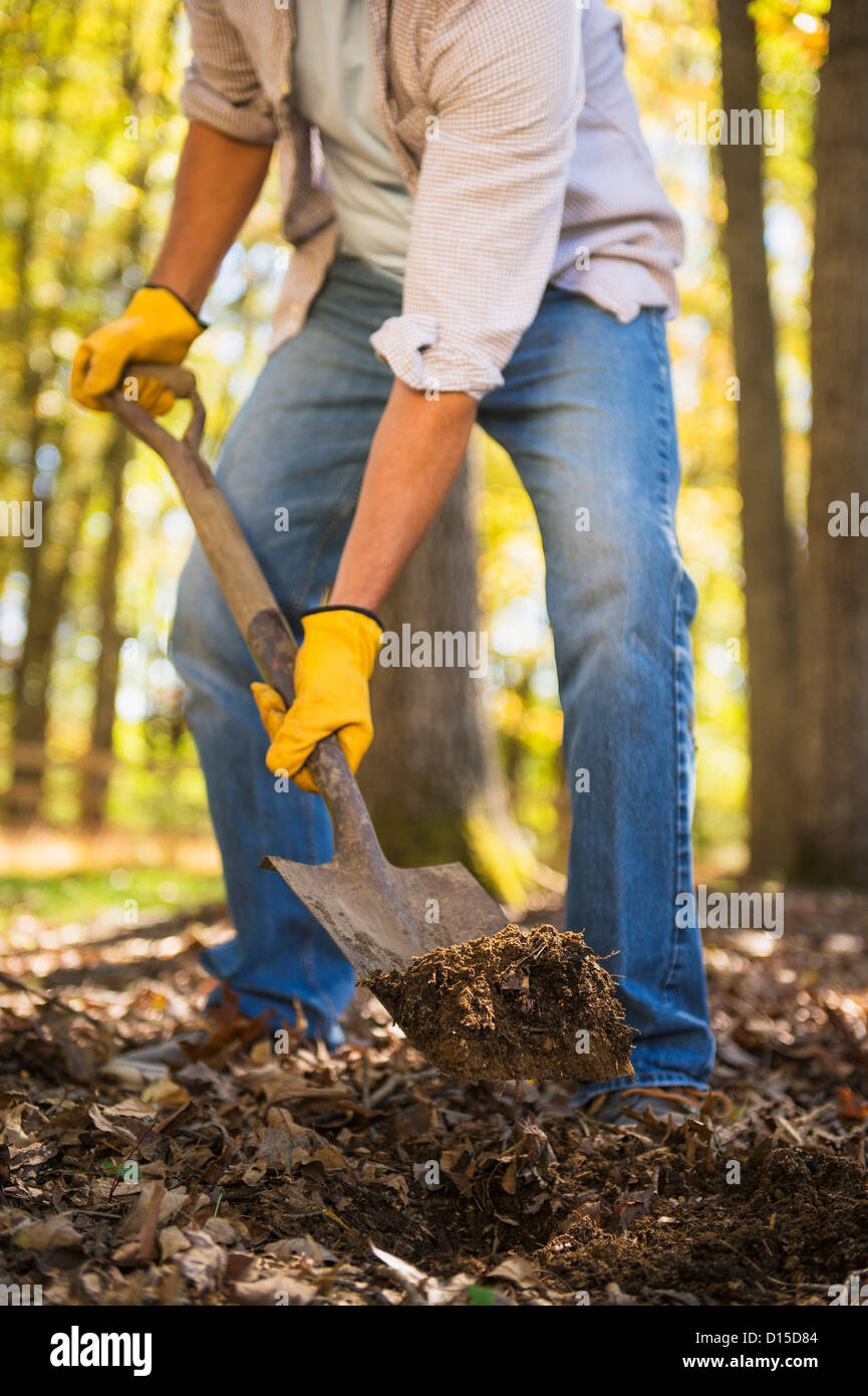 USA, New Jersey, Mendham, Man planting evergreen tree Stock Photo Alamy
