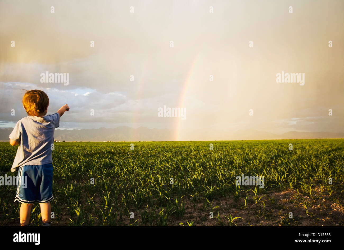 USA, Colorado, Boy (2-3) in field pointing at rainbow Stock Photo
