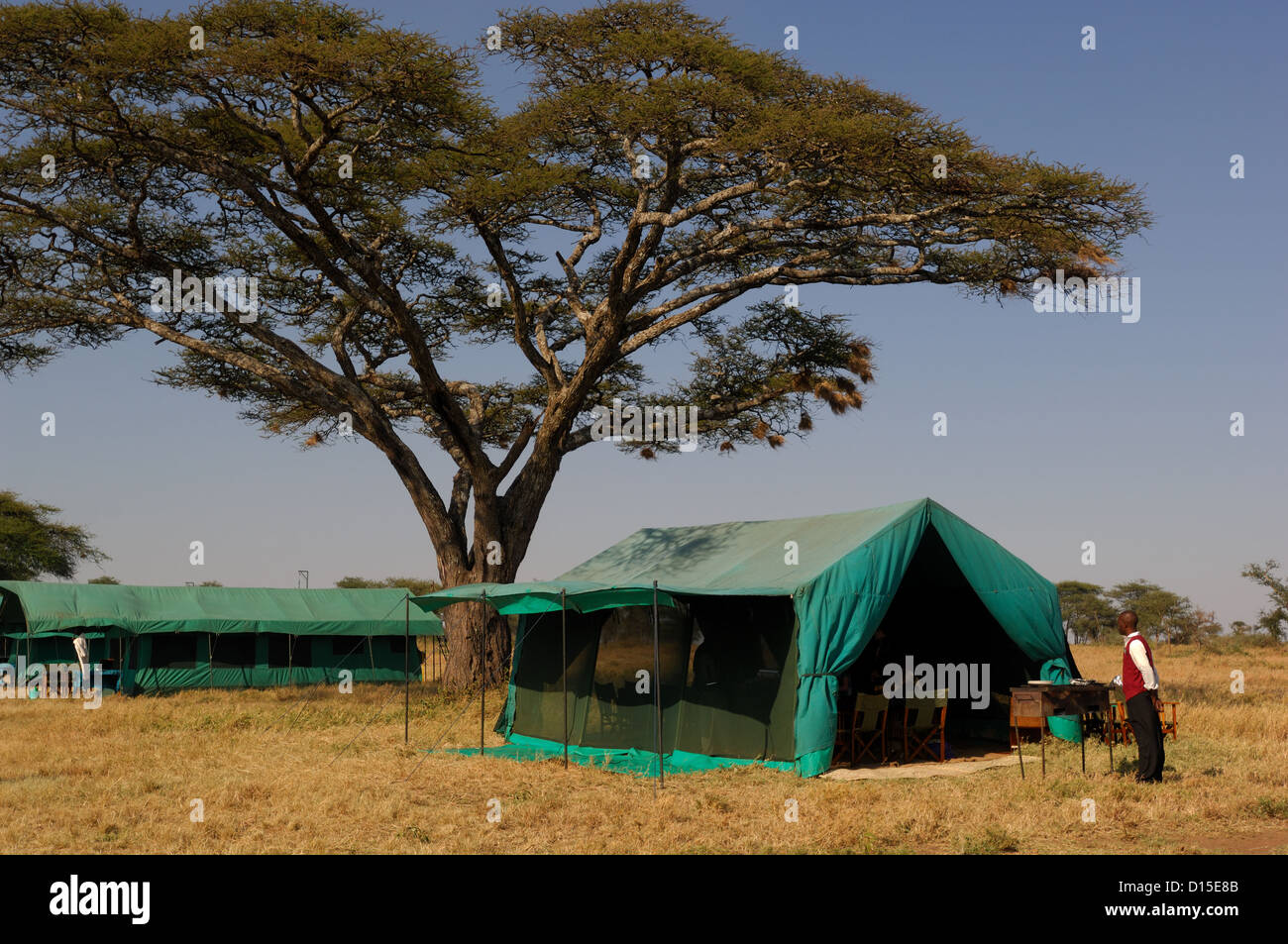 Wilderness opens camp in the Serengeti