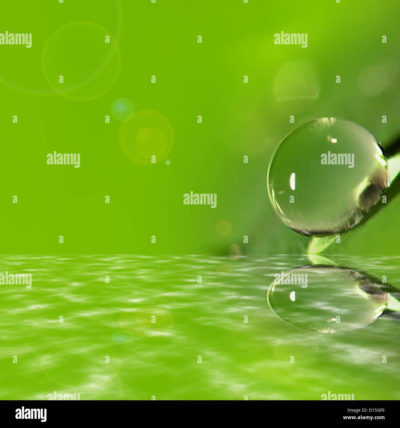 Water drop from green leaf on summer background Stock Photo - Alamy