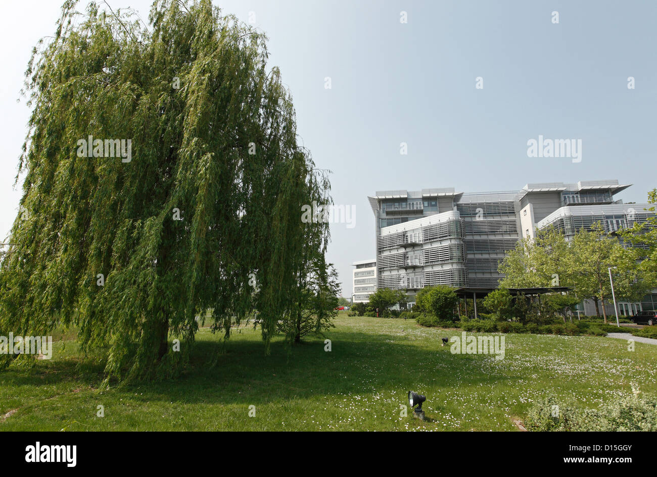 Russelsheim, Germany, weeping willow in front of the Adam Opel Haus Stock Photo