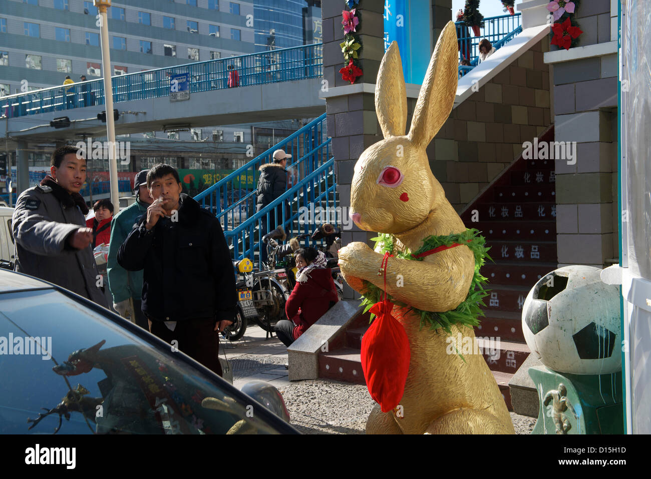 Rabbit in the moon hi-res stock photography and images - Alamy