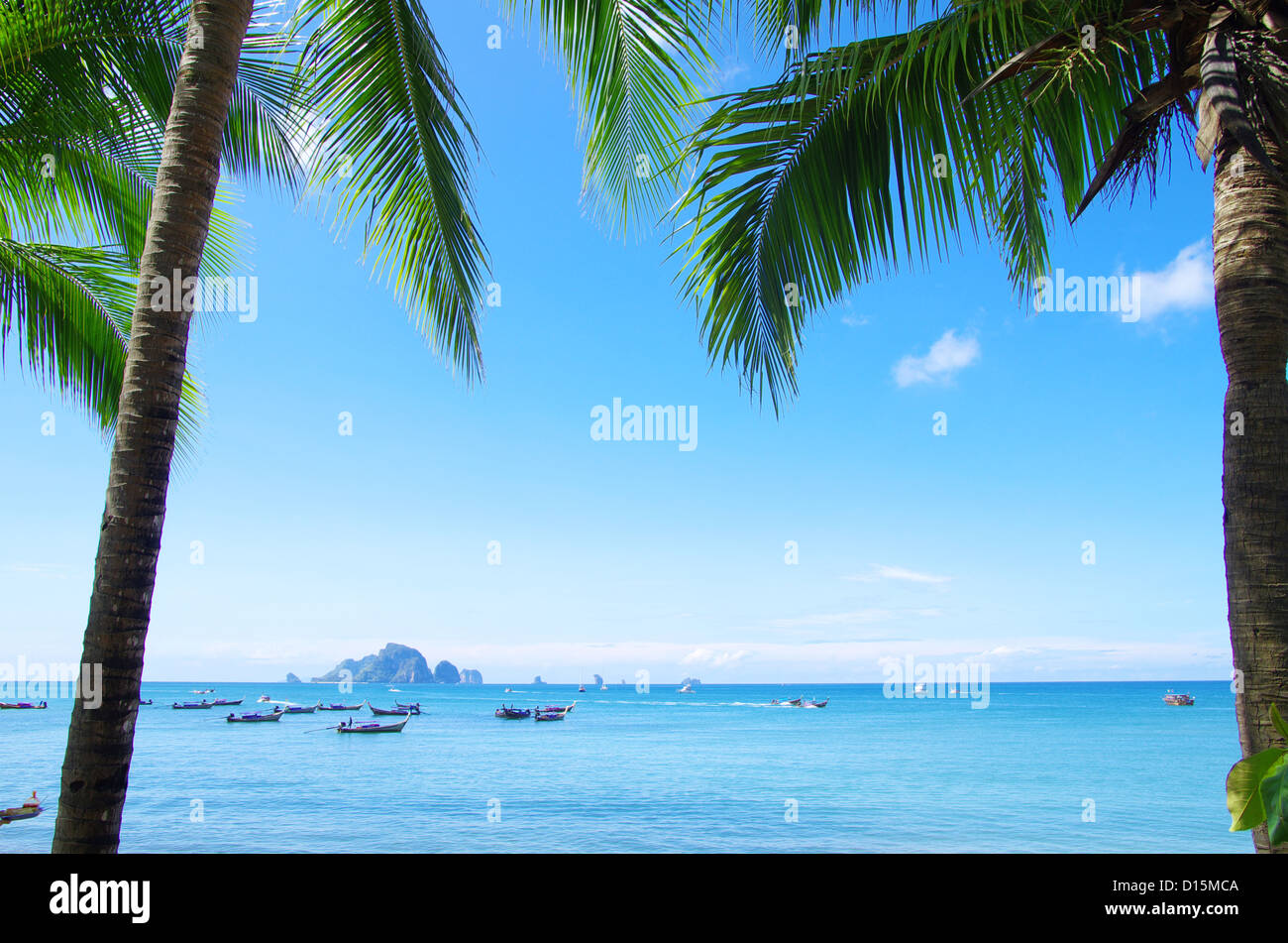 Blue green palm tree hi-res stock photography and images - Alamy