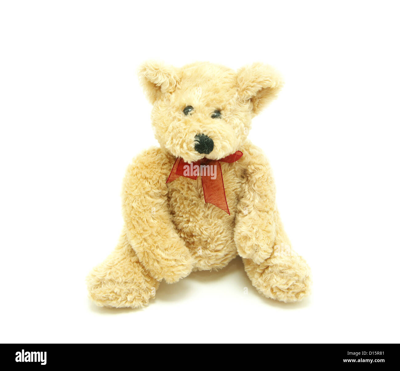 bear isolated on white background Stock Photo - Alamy