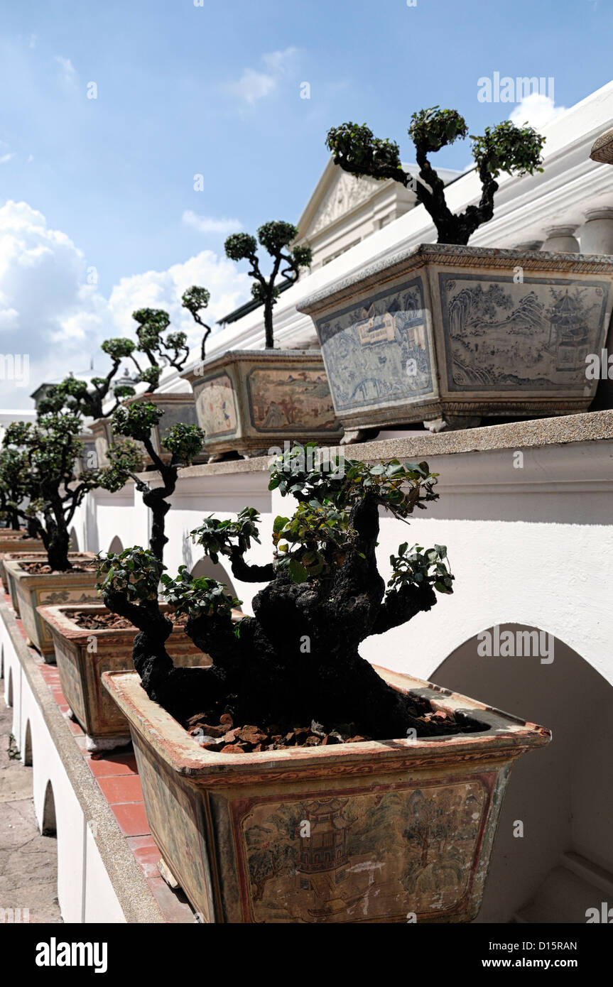 Grand Palace Bangkok Thailand Wat Phra Kaew Temple of the Emerald Buddha ornamental trees topiary garden design Stock Photo