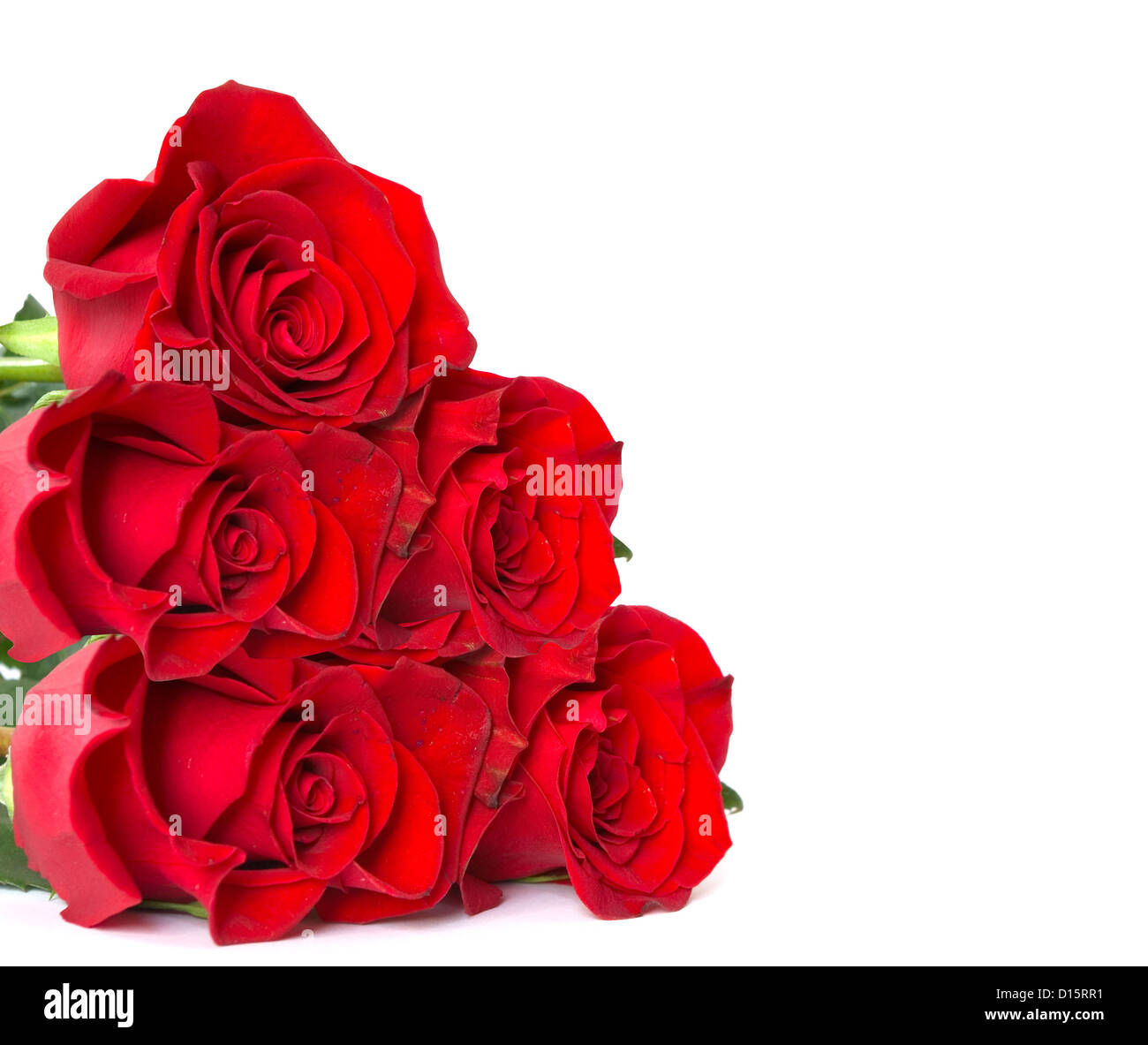 Beautiful red roses white hi-res stock photography and images - Alamy