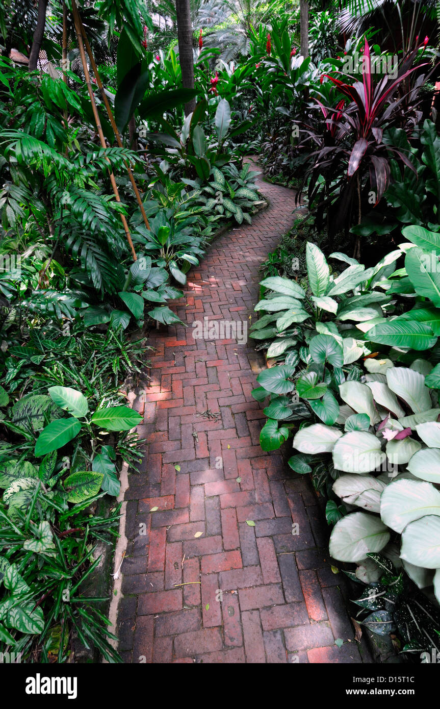 Jim Thompson house garden museum bangkok thailand tropical gardens ...