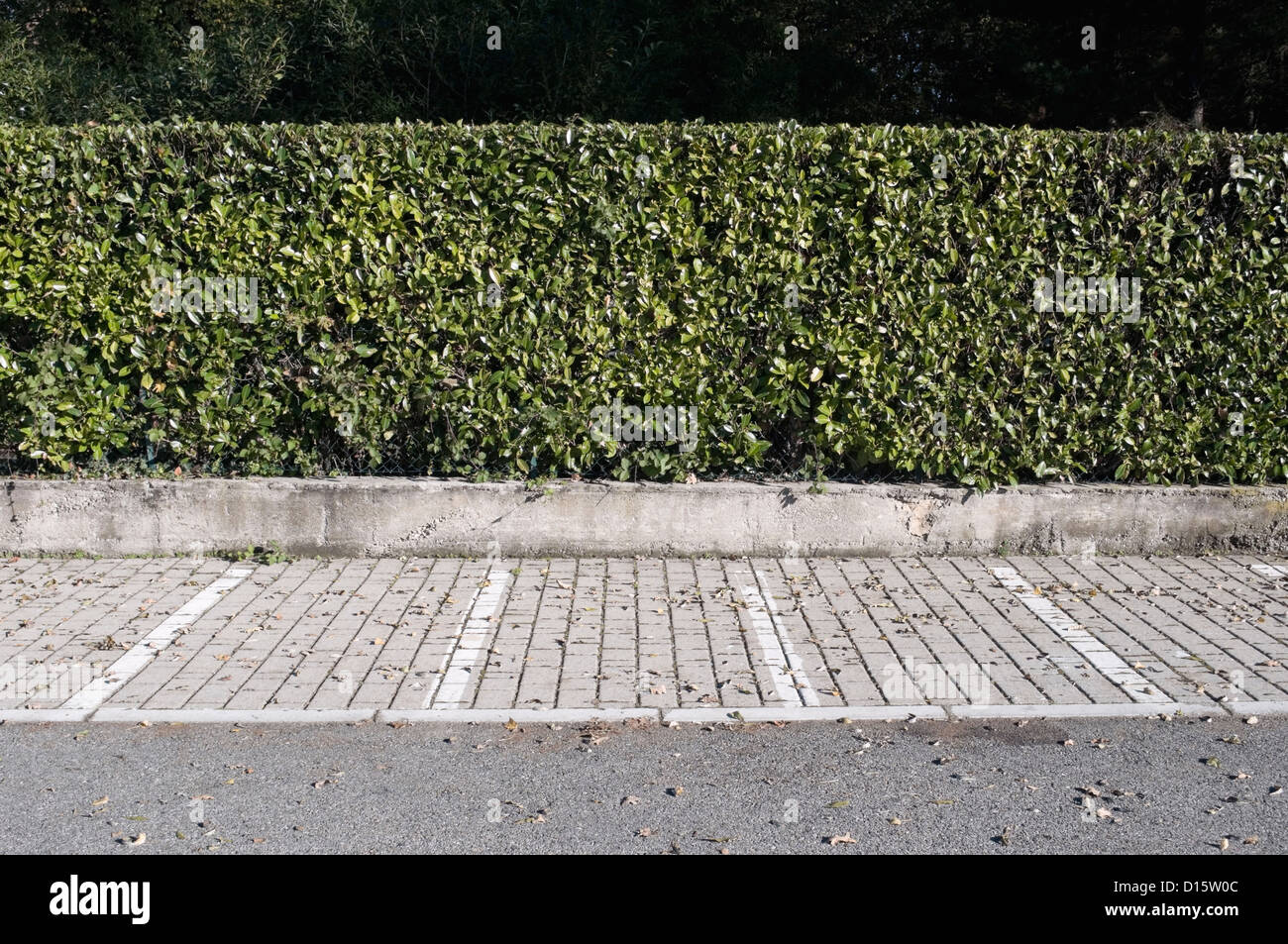 parking lot with hedge Stock Photo Alamy