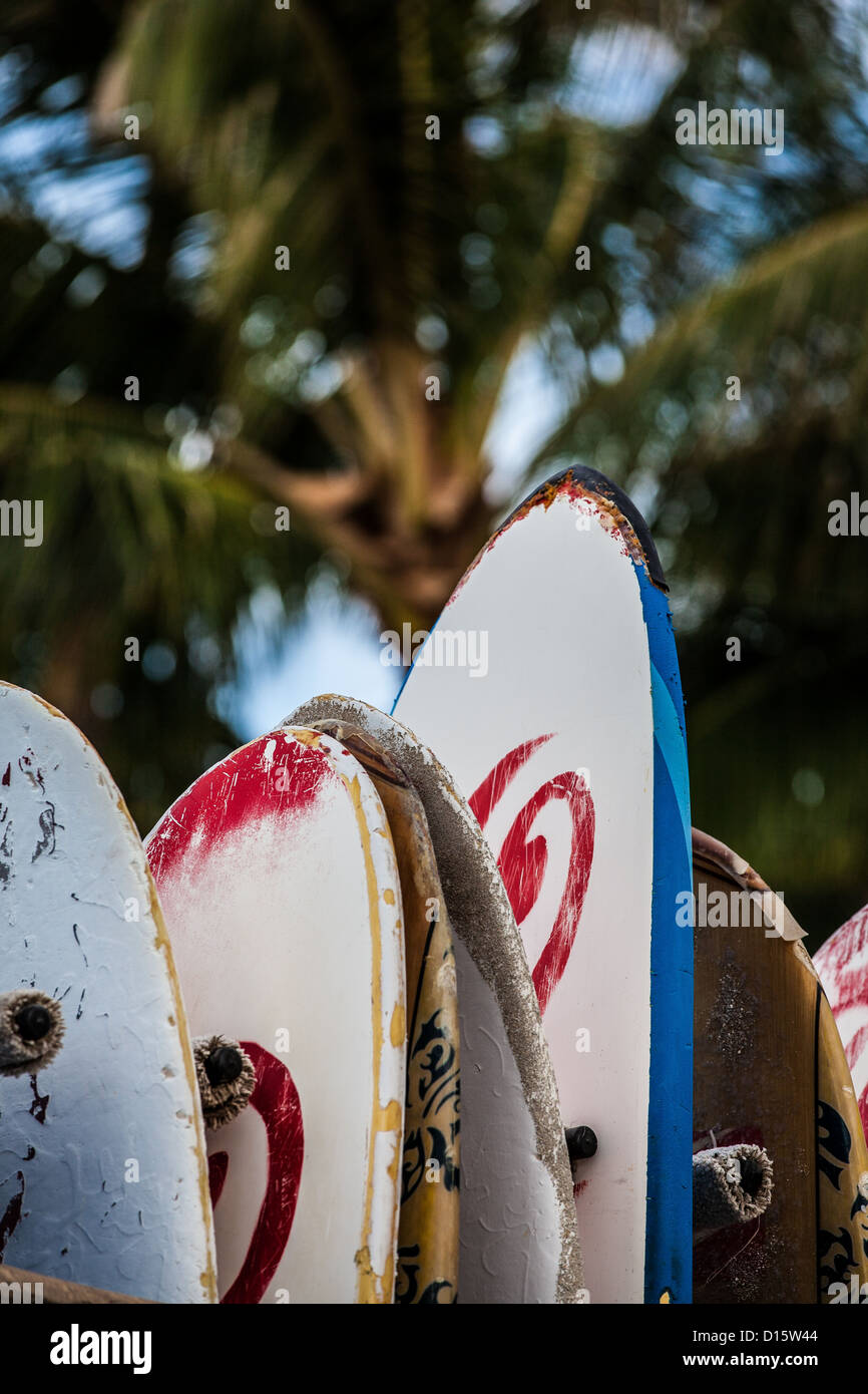 Surf Boards Surfing Hawaii Waikiki Oahu Honolulu North Shore Stock Photo