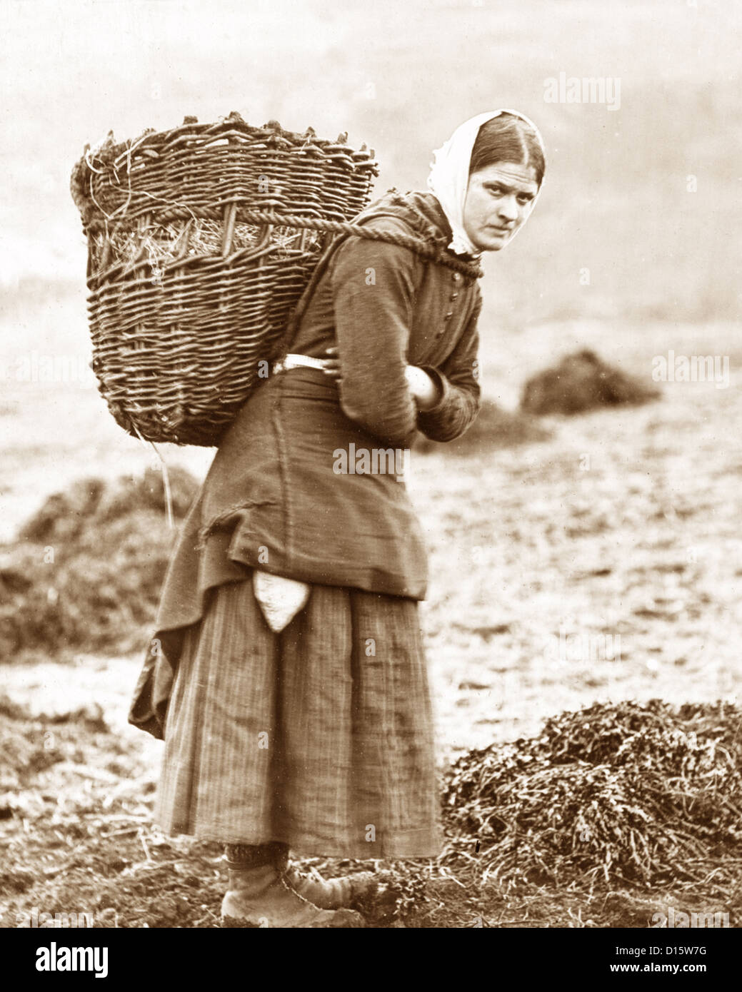 Peat basket hi-res stock photography and images - Alamy