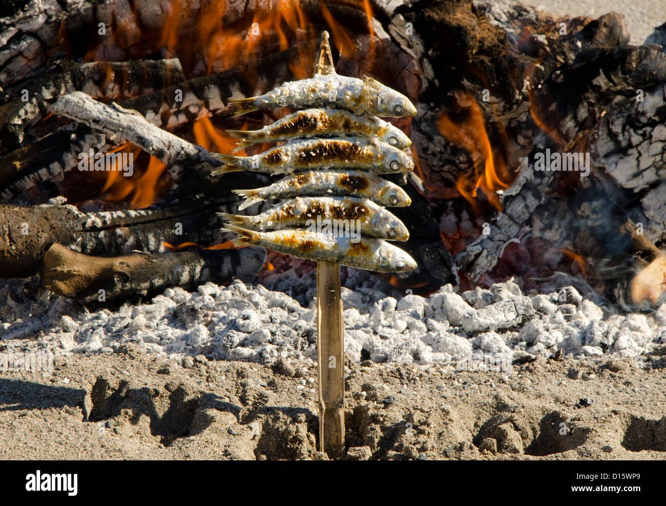 Sardines grilled on open wood fire, barbecue in Southern Spain on beach