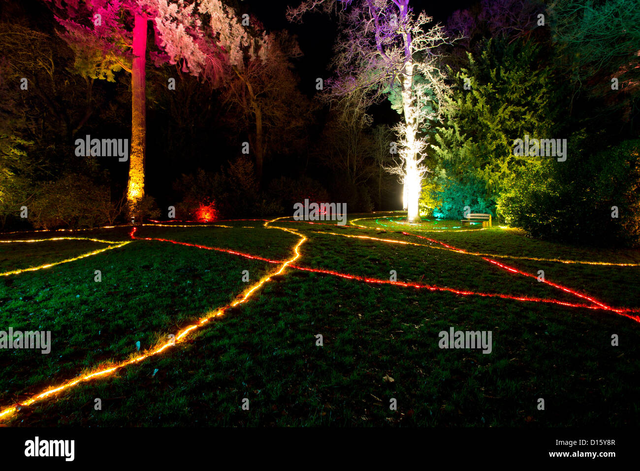 Sound activated lights, at Enchanted Christmas, Westonbirt, The