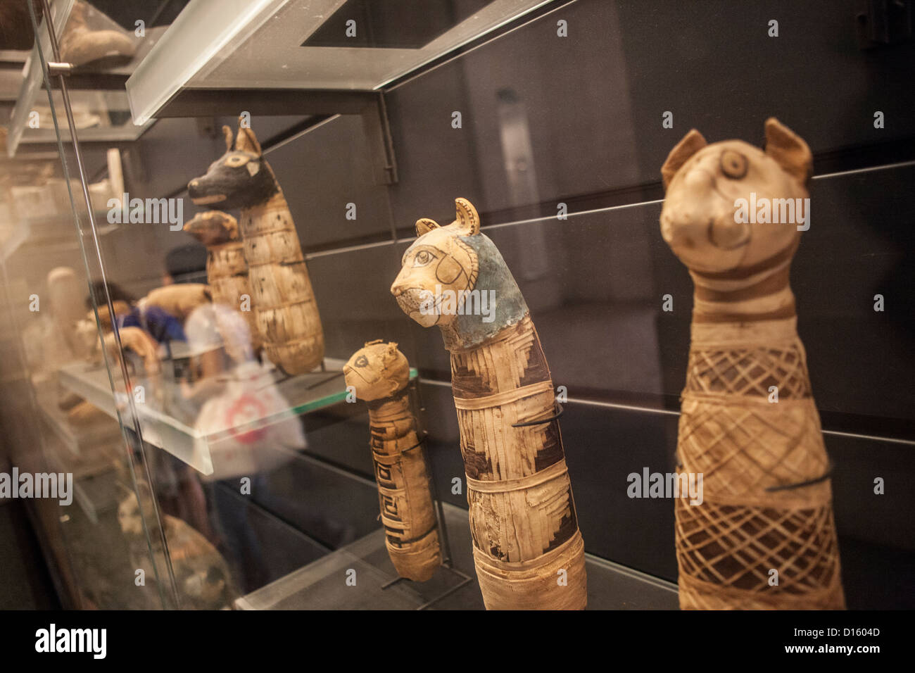 Ancient Egyptian Mummified Cats - Musée du Louvre, Paris Stock Photo