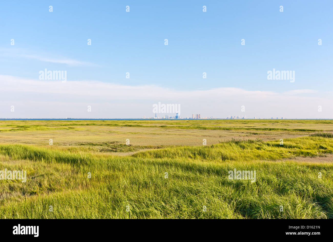 Marsh Grass Landscapes Hi-res Stock Photography And Images - Alamy