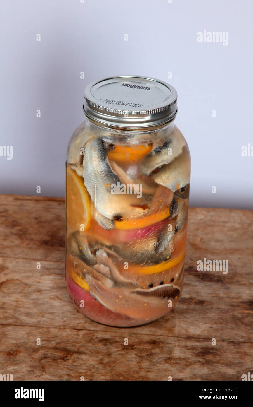 Home canned glass jar of pickled herring Stock Photo Alamy