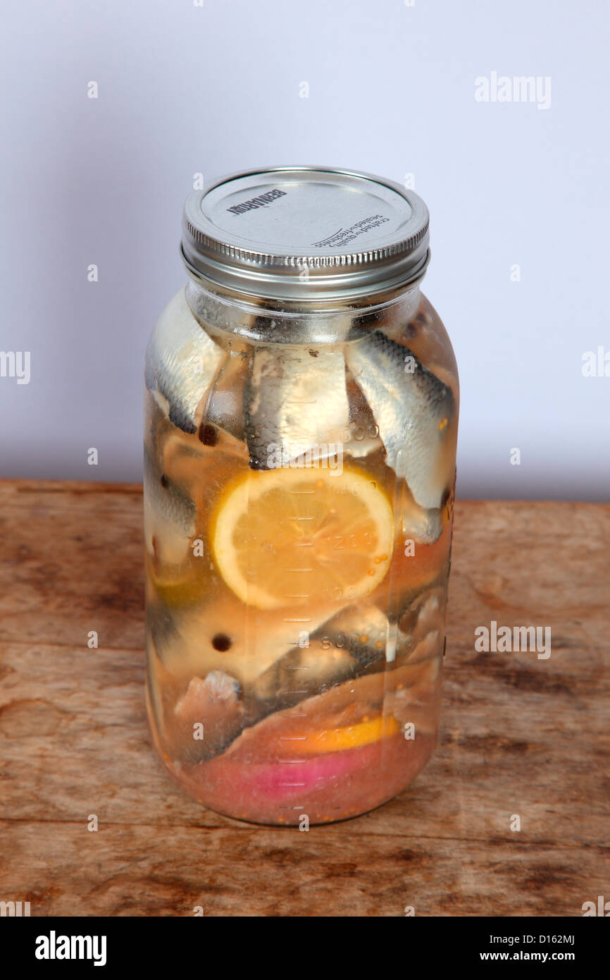 Home canned glass jar of pickled herring Stock Photo