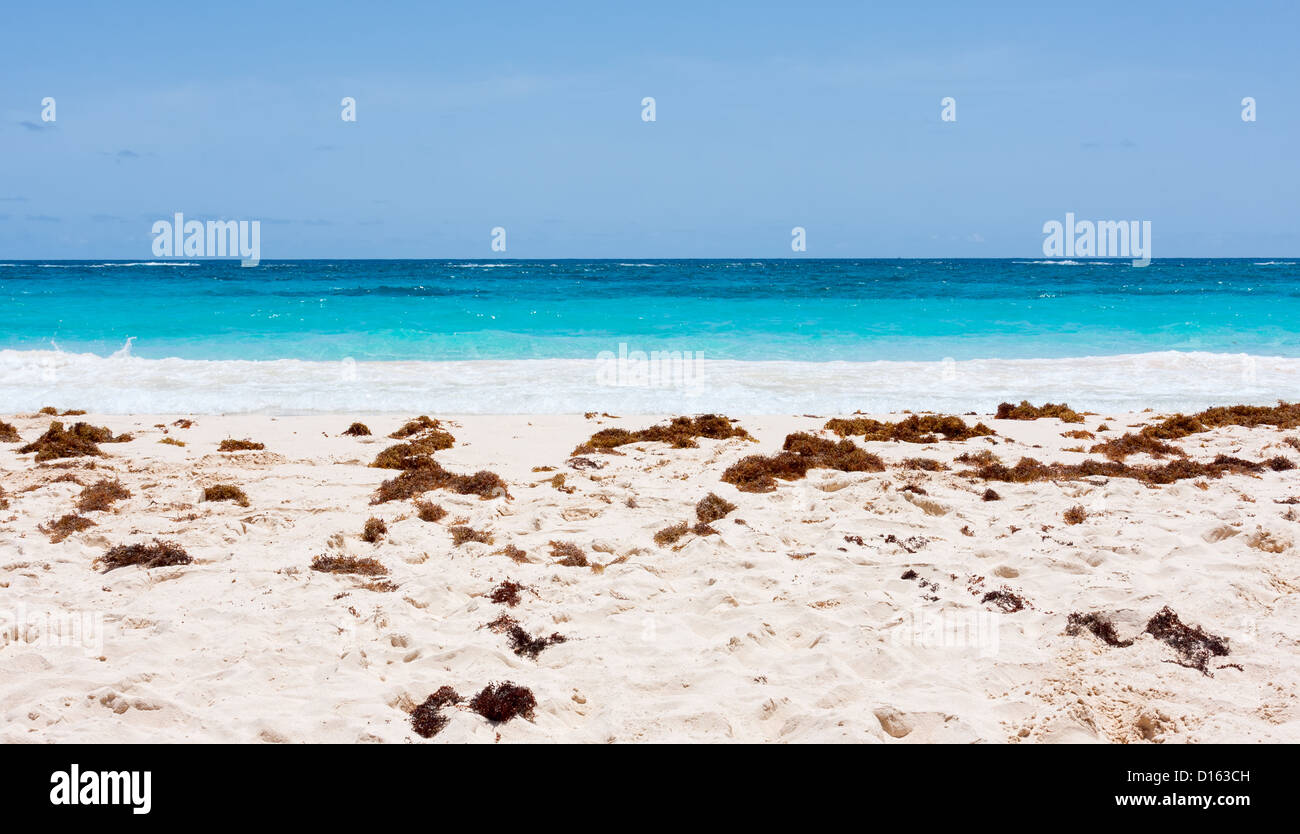 Elbow Beach in Bermuda. The photo is layered with sand and seaweed, ocean, and sky. Stock Photo