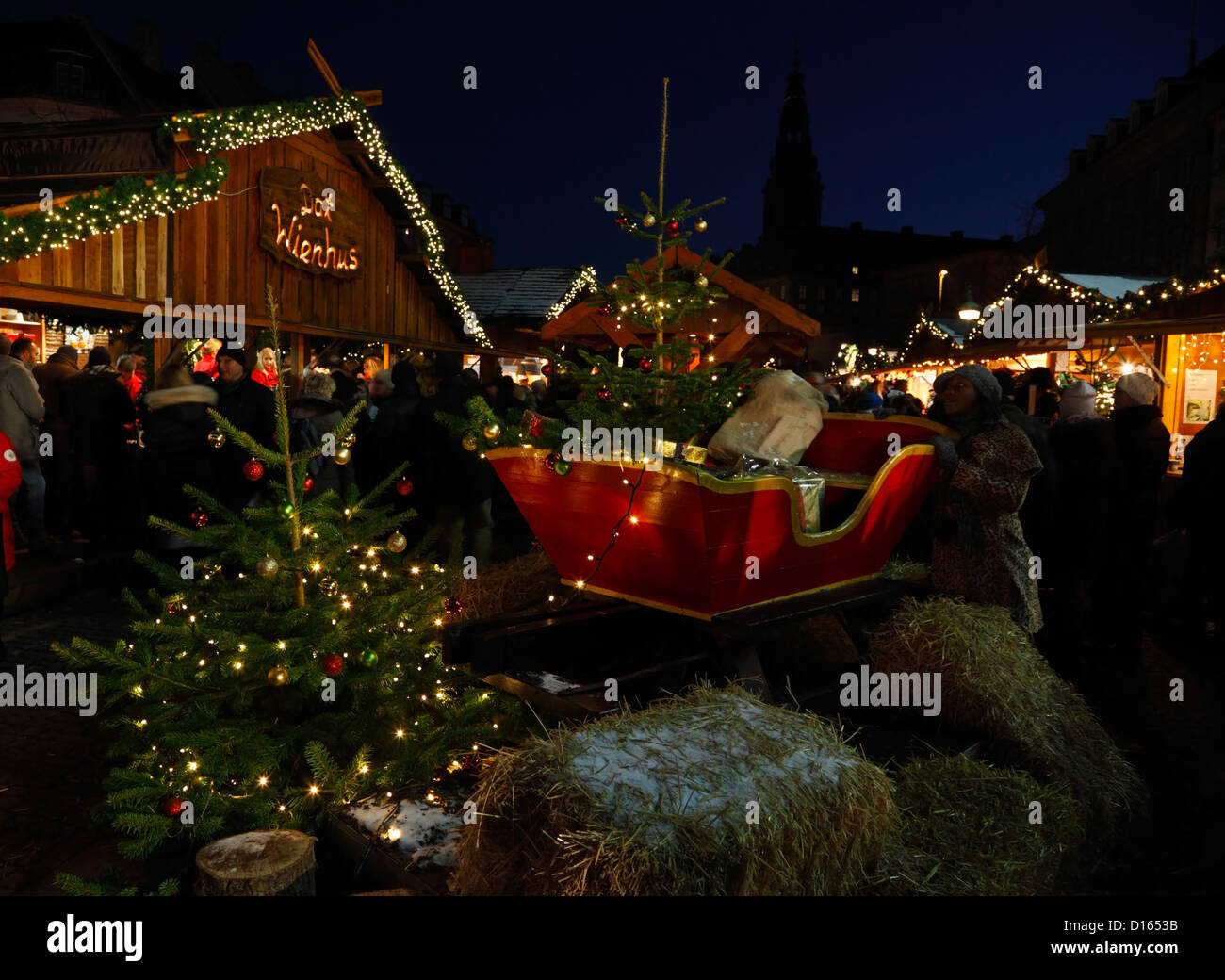 Santa Claus' sleigh and Christmas trees in the evening at the Christmas