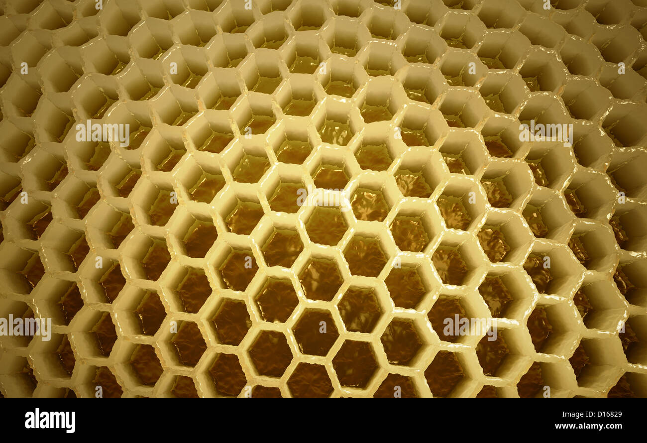 Physics for beekeepers: mold in a beehive - Honey Bee Suite