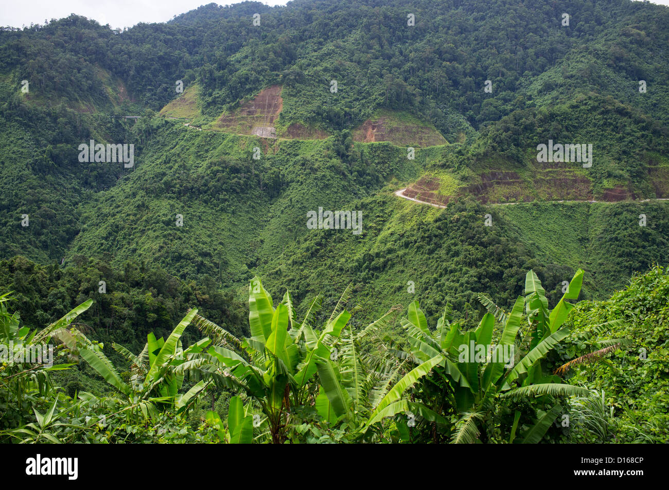 Ho Chi Minh, Vietnam Image & Photo (Free Trial)