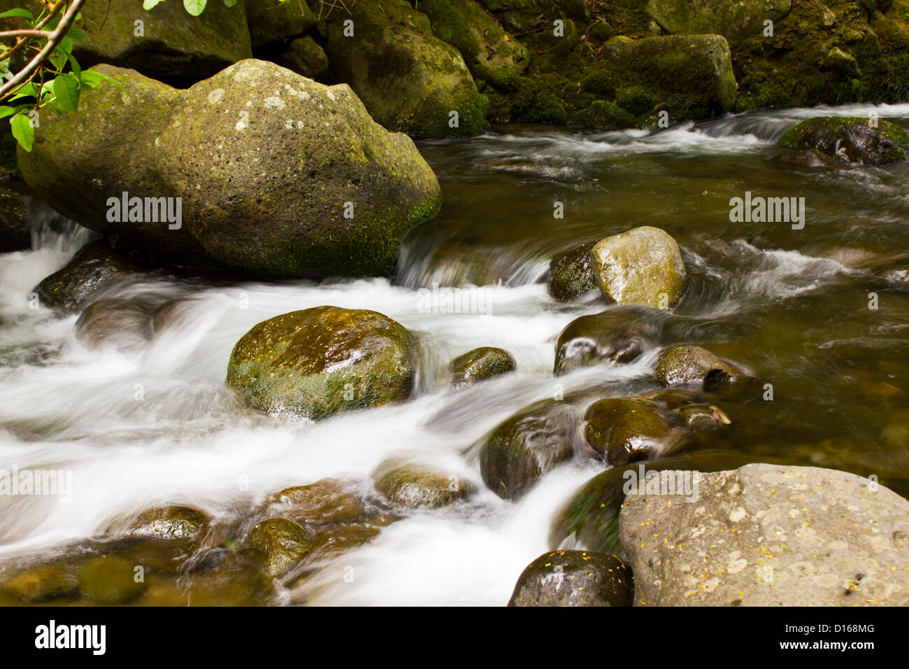 water flowing over rocks in stream Stock Photo - Alamy