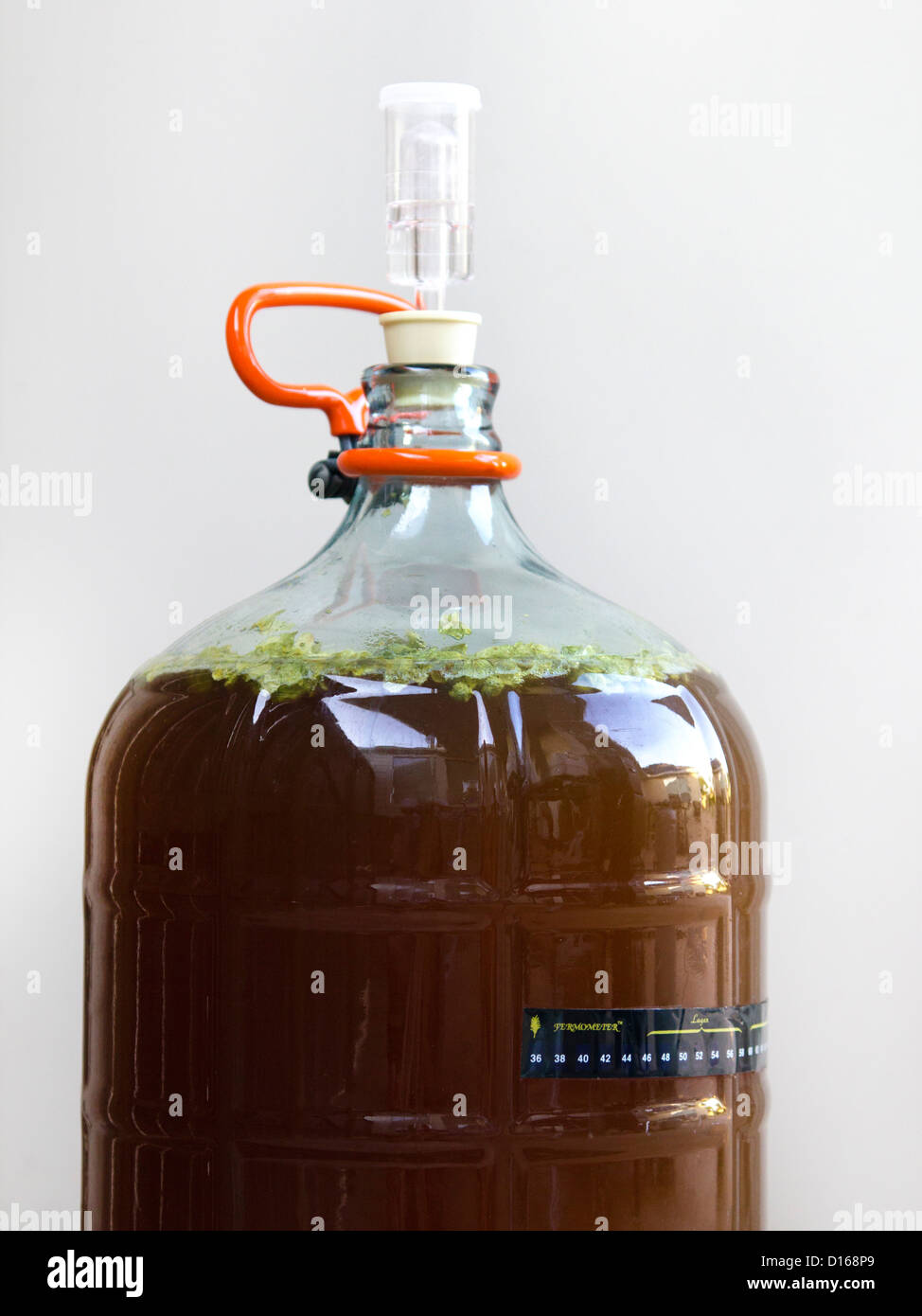 Carboy of beer with whole leaf hops during dry hopping Stock Photo Alamy