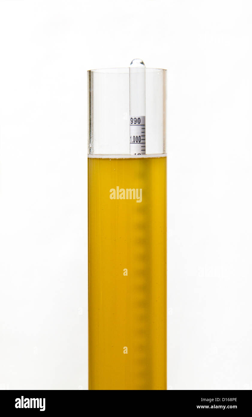 Hydrometer measuring final gravity of beer after fermentation Stock Photo