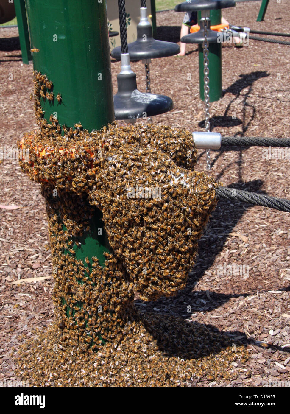 Swarm of bees on children's playground Stock Photo