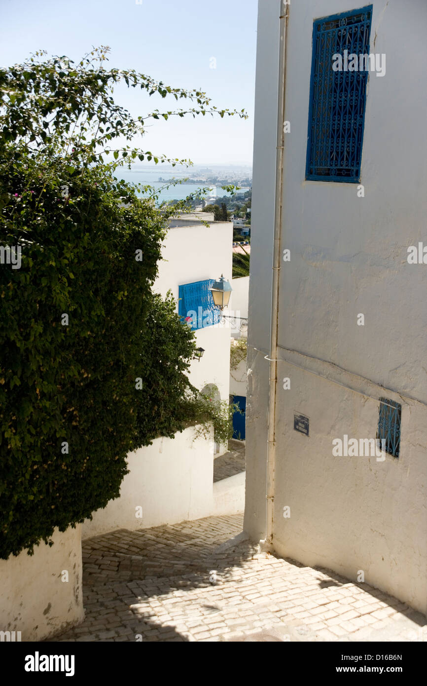 The Village of Sidi Bou Said near Tunis in Tunisia Stock Photo Alamy