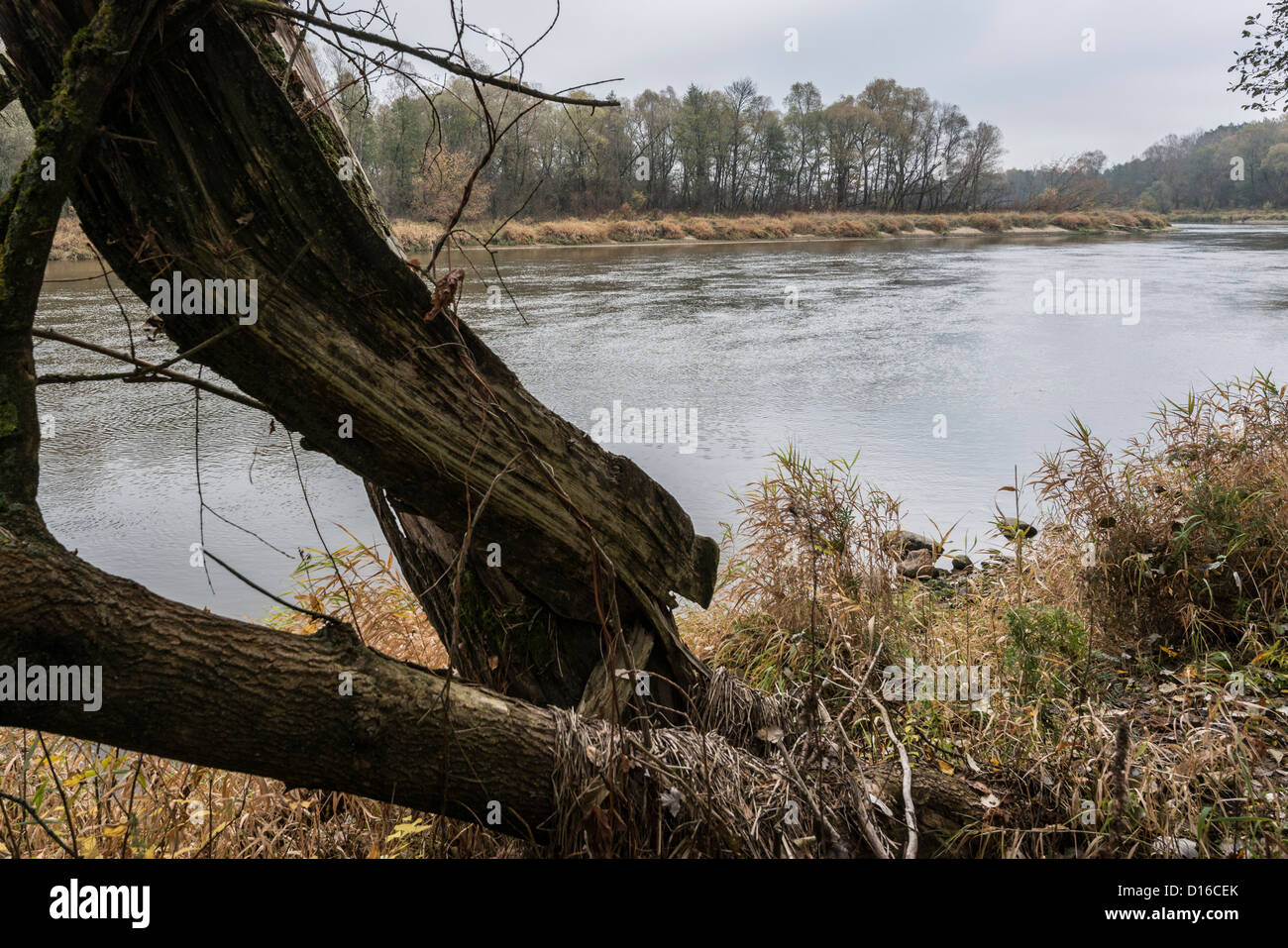 Around river Bug, Eastern Poland Stock Photo