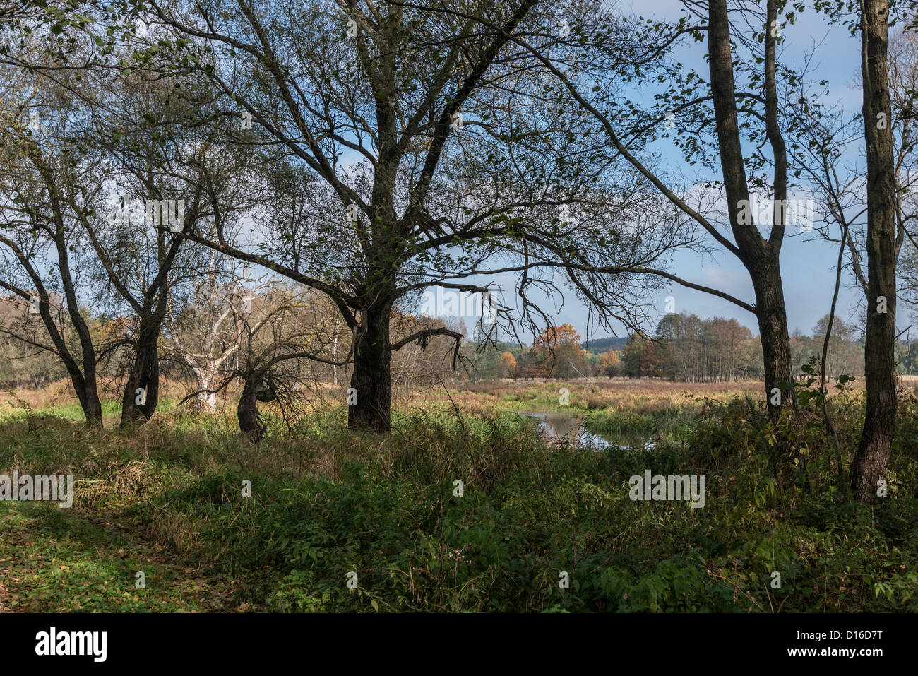 Around river Bug, Eastern Poland Stock Photo - Alamy