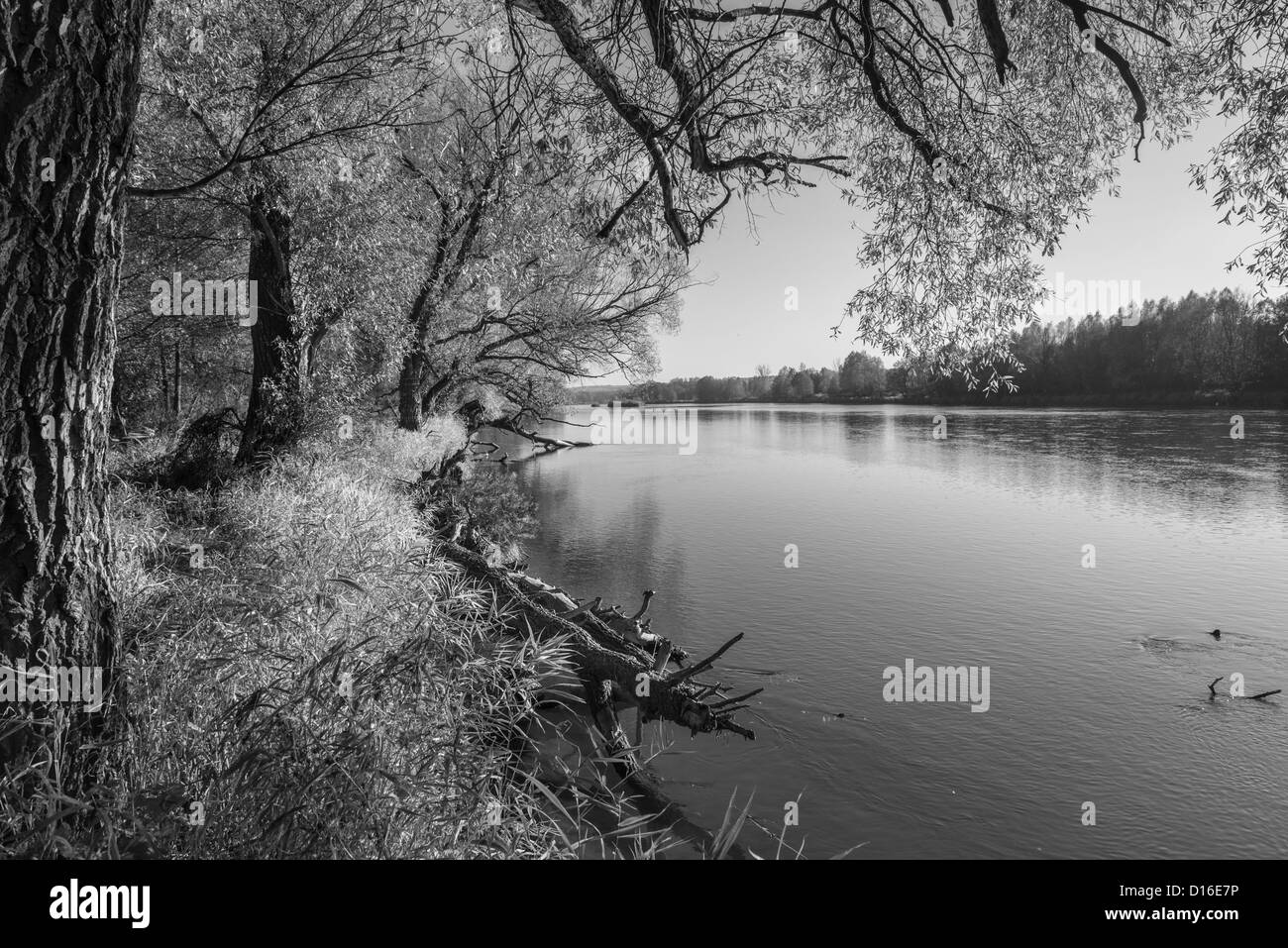Around river Bug, Eastern Poland Stock Photo - Alamy