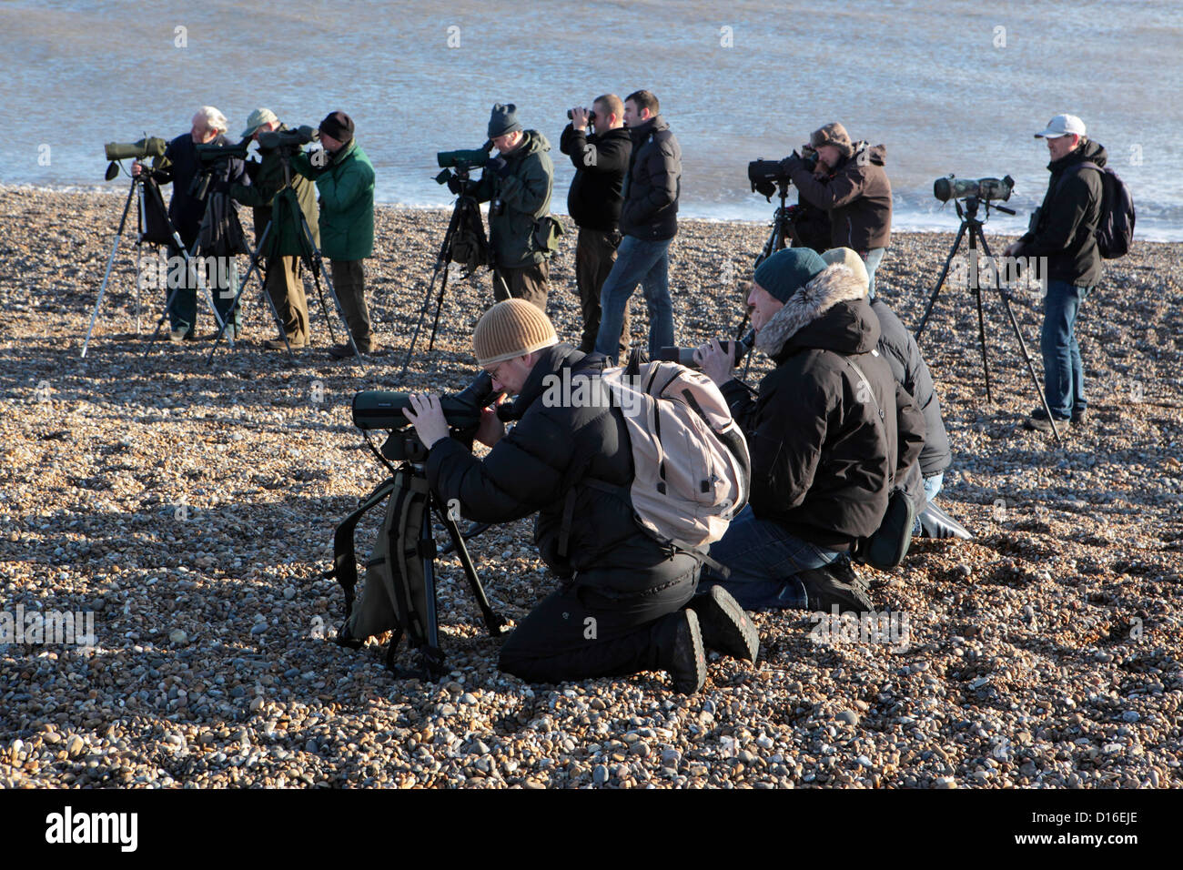 Large group of birders birdwatchers twitchers, birdwatching on Aldeburgh beach to observe rare Arctic Redpoll, Suffolk, UK Stock Photo